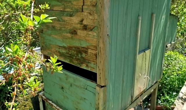 Jardinage poulailler pour 4 poules maxi