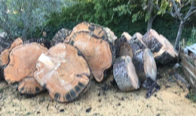 Jardinage bois de chauffage