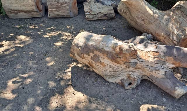 Jardinage bois de chauffage