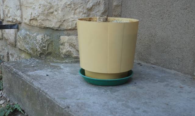 Jardinage pot pour plantation extérieure ou intérieure.