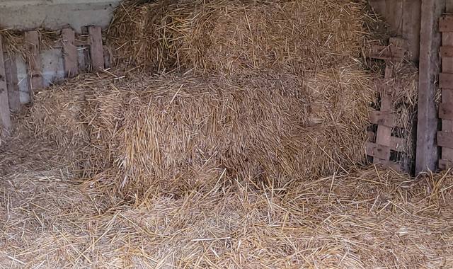 Jardinage 6 bottes de paille