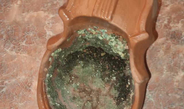 Jardinage pot de fleur