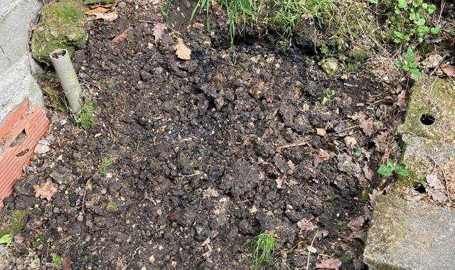 Jardinage terre végétale à trier