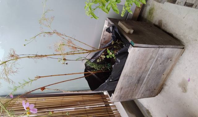 Jardinage pot en bois