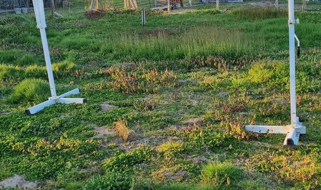 Jardinage structure de parasol double