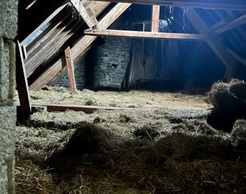 Jardinage foin en vrac