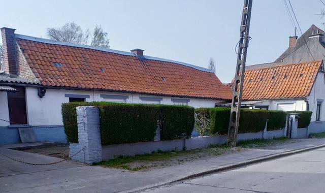 Jardinage de troènes