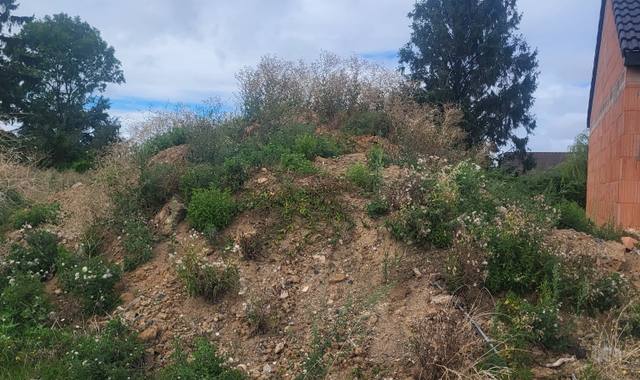 Jardinage de terre