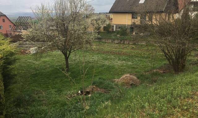 Jardinage terre végétale