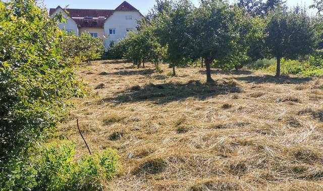 Jardinage foin en vrac