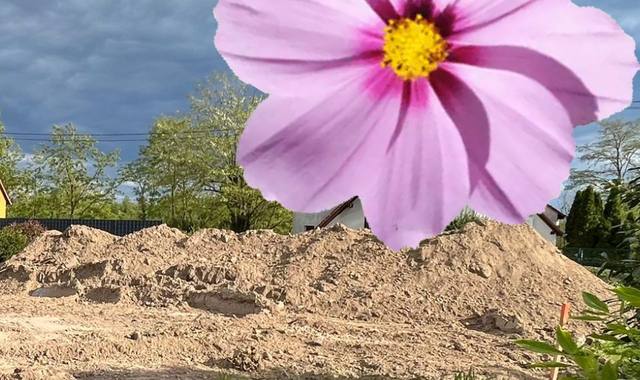 Jardinage terre végétale gratuit