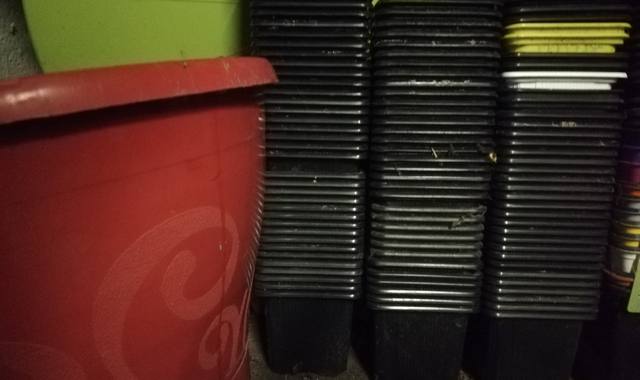 Jardinage je donne une grande quantité de godets et pots