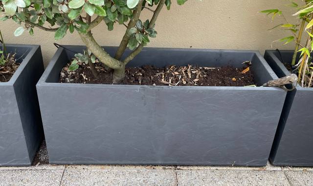 Jardinage jardinières pleines de terreau en très bon état