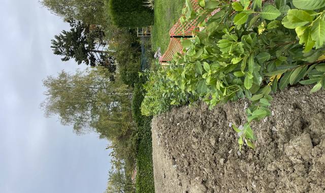 Jardinage terre (non végétale)