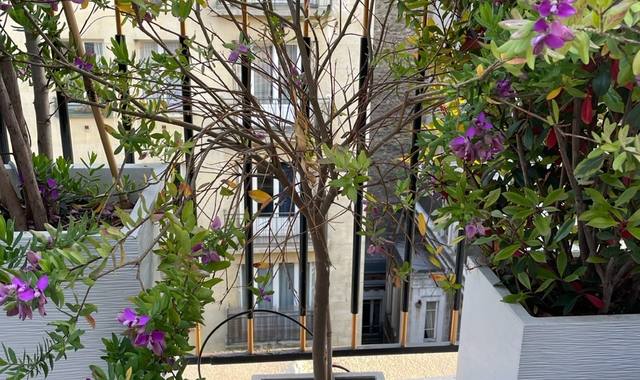 Jardinage bac avec Polygala