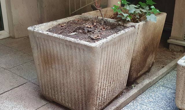 Jardinage 2 Jardinières carrées