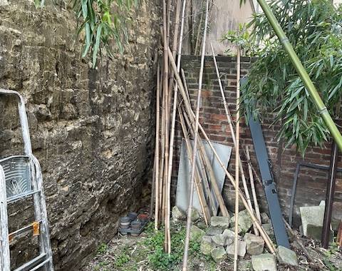 Jardinage bambou - grande taille