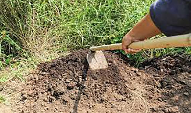 Jardinage terre de jardin