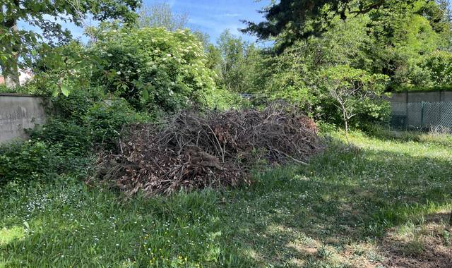 Jardinage tas de bois, branche, branchage pour copeaux