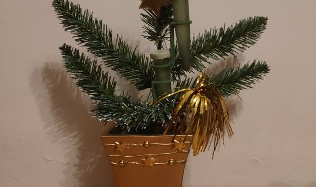 Jardinage décor pour orchidées ou autres fleurs coupées