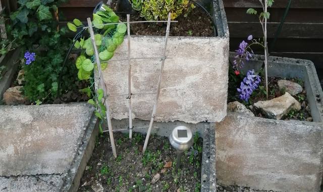 Jardinage bacs plantes