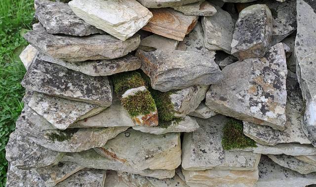 Jardinage dalles pierre