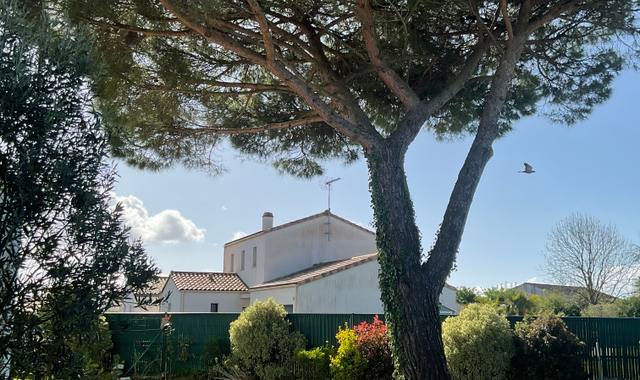 Jardinage terre de remblais