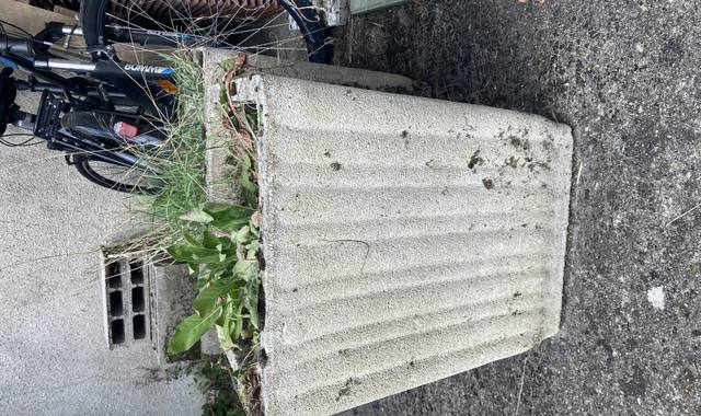Jardinage bac à fleur en ciment