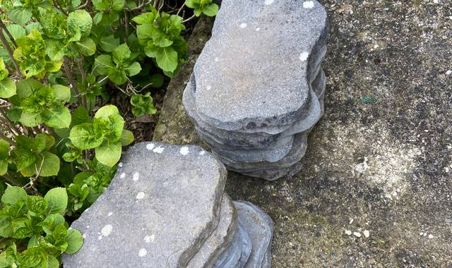 Jardinage pour votre future allée!