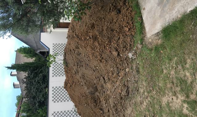 Jardinage excellente terre végétale