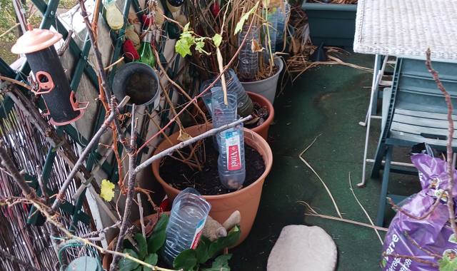 Jardinage pos,plantes et déco..