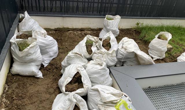 Jardinage terre avec un peu d’herbes