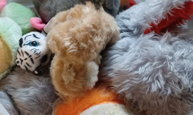Jeux, Jouets peluches à offrir