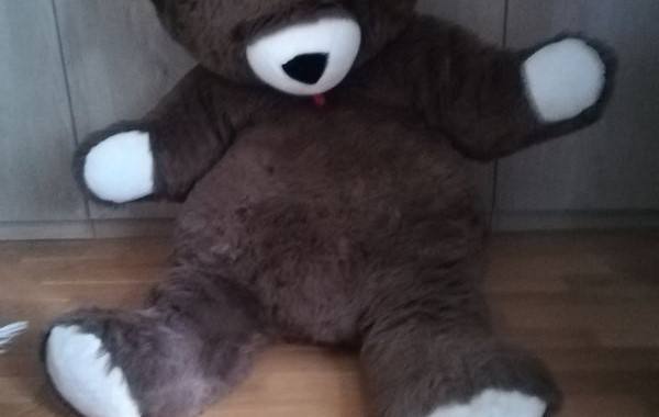 Jeux, Jouets peluche Ours Assis