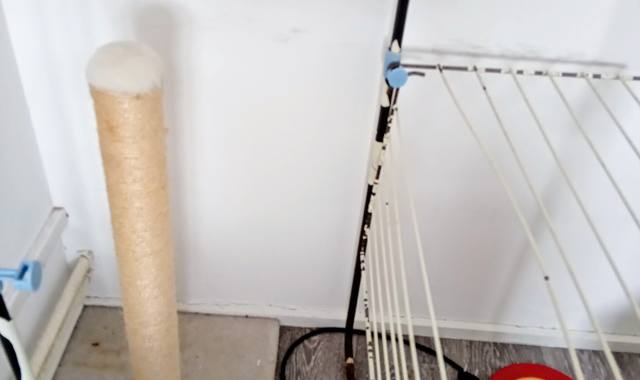 Jeux, Jouets griffoir pour chats vertical