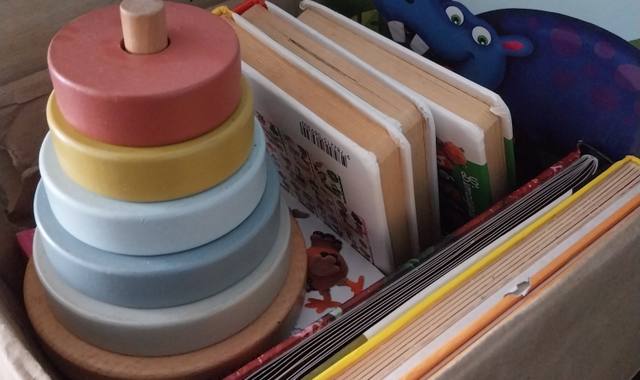 Jeux, Jouets livres pour touts petits + jouet bois