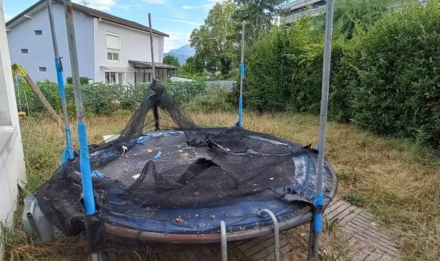 Jeux, Jouets trampoline