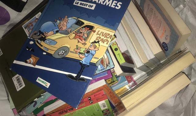 Livres-Revues plusieurs dizaines de livres en bon état