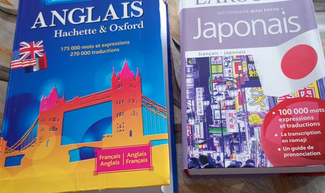 Livres-Revues 2 dictionnaires (anglais et japonais)