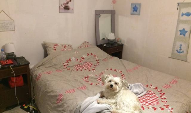 Literie chambre lit & chevet