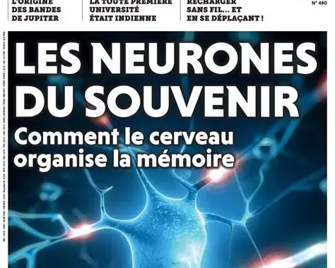 Livres-Revues collection de la revue "Pour la science" de 1978 à 2024