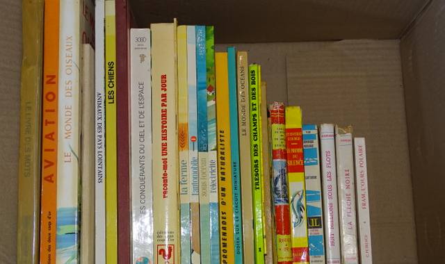 Livres-Revues lot livres pour enfant