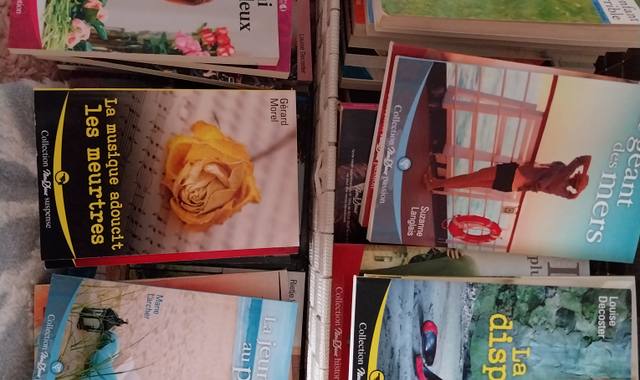 Livres-Revues roman de poche