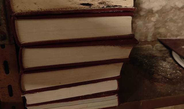 Livres-Revues magnifique livre en cuir