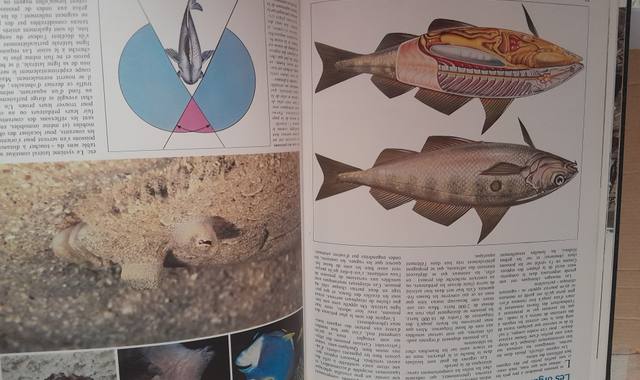 Livres-Revues encyclopédie COUSTEAU "La Planète Océans"