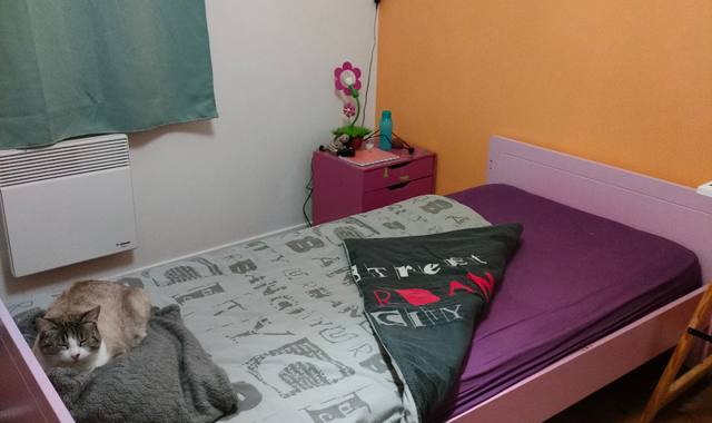 Literie lit bois enfant