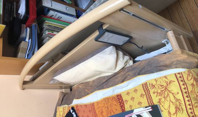 Literie lit médicalisé électrique avec potence