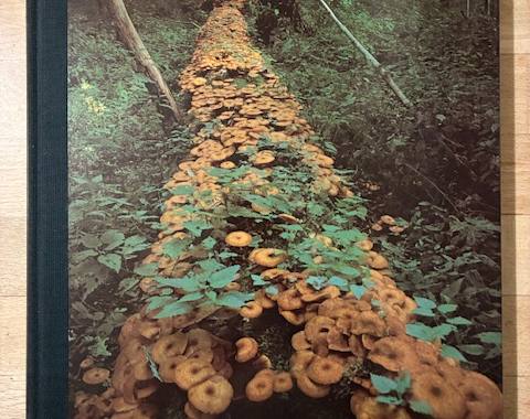 Livres-Revues les grandes étendues sauvages - TIME-LIFE