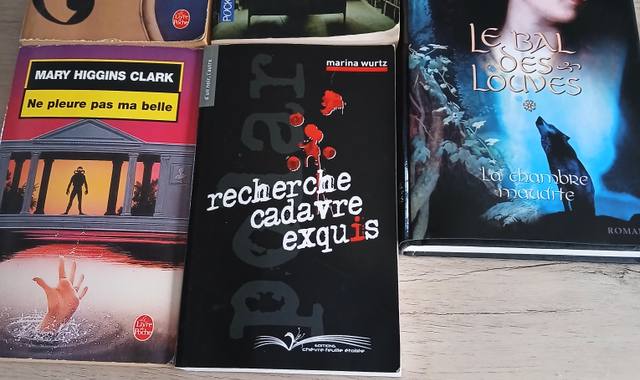 Livres-Revues 5 livres poches et broche