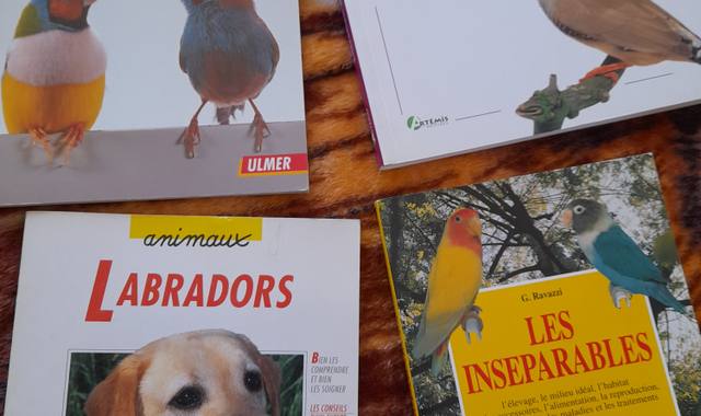 Livres-Revues lot livres
